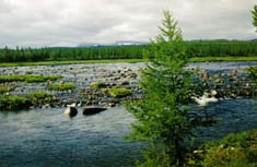 7-�� ����� �� �.���-�����